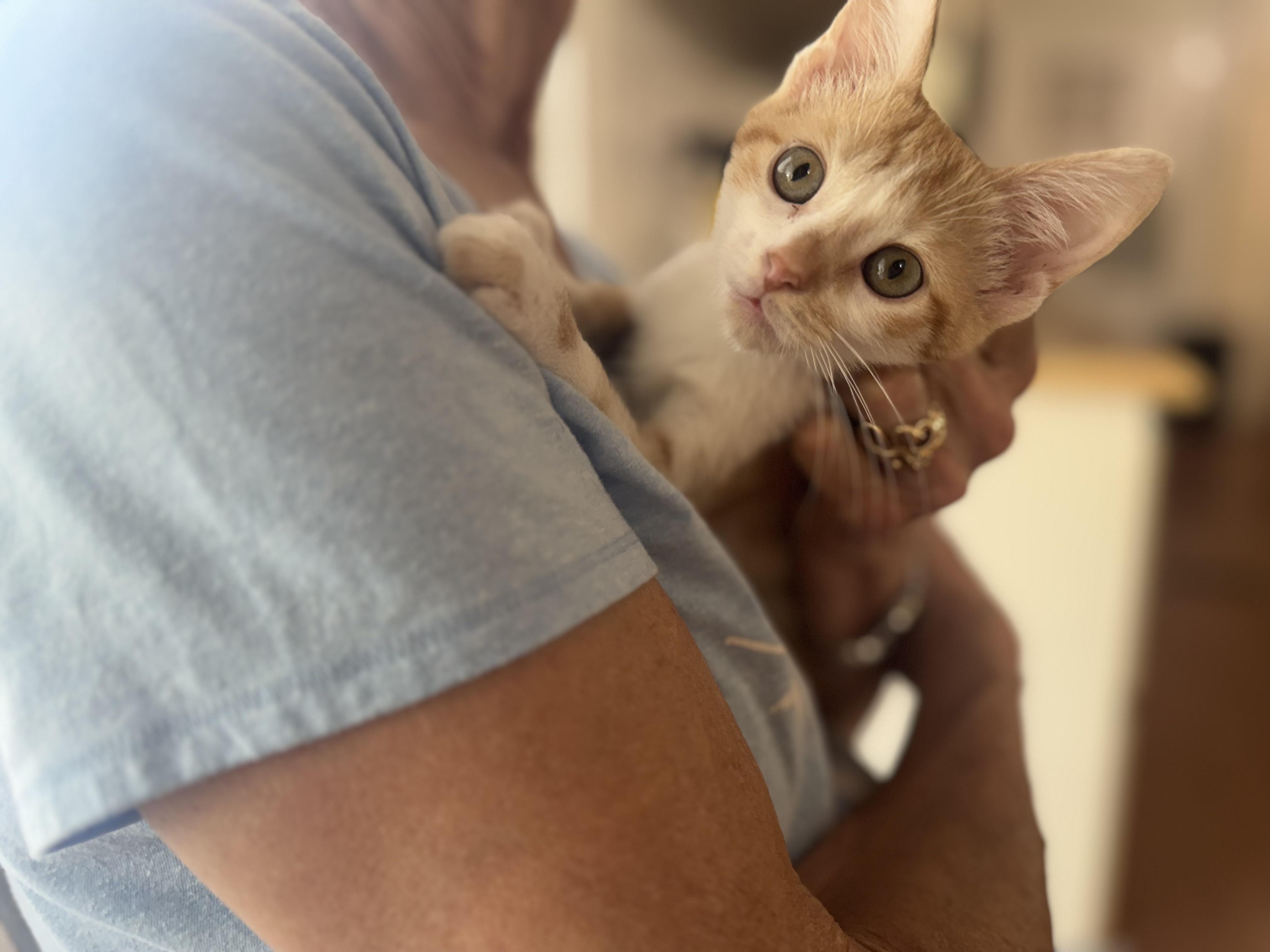 Peaches