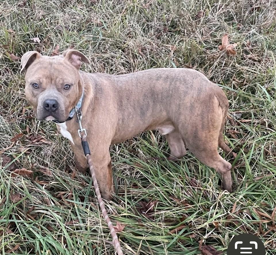 Sake — thumbnail 4