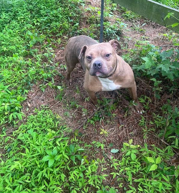 Sake — thumbnail 5