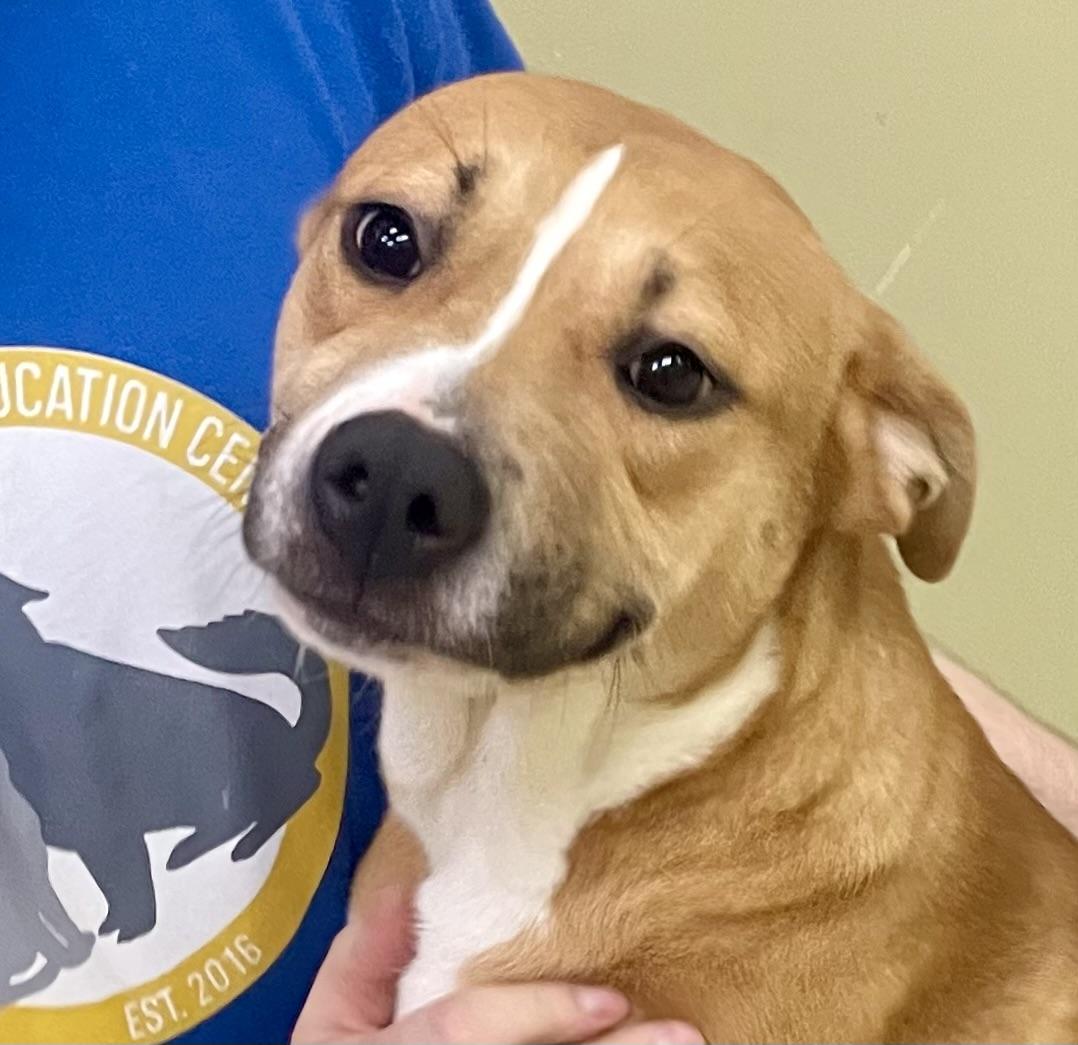 Gretchen — thumbnail 2