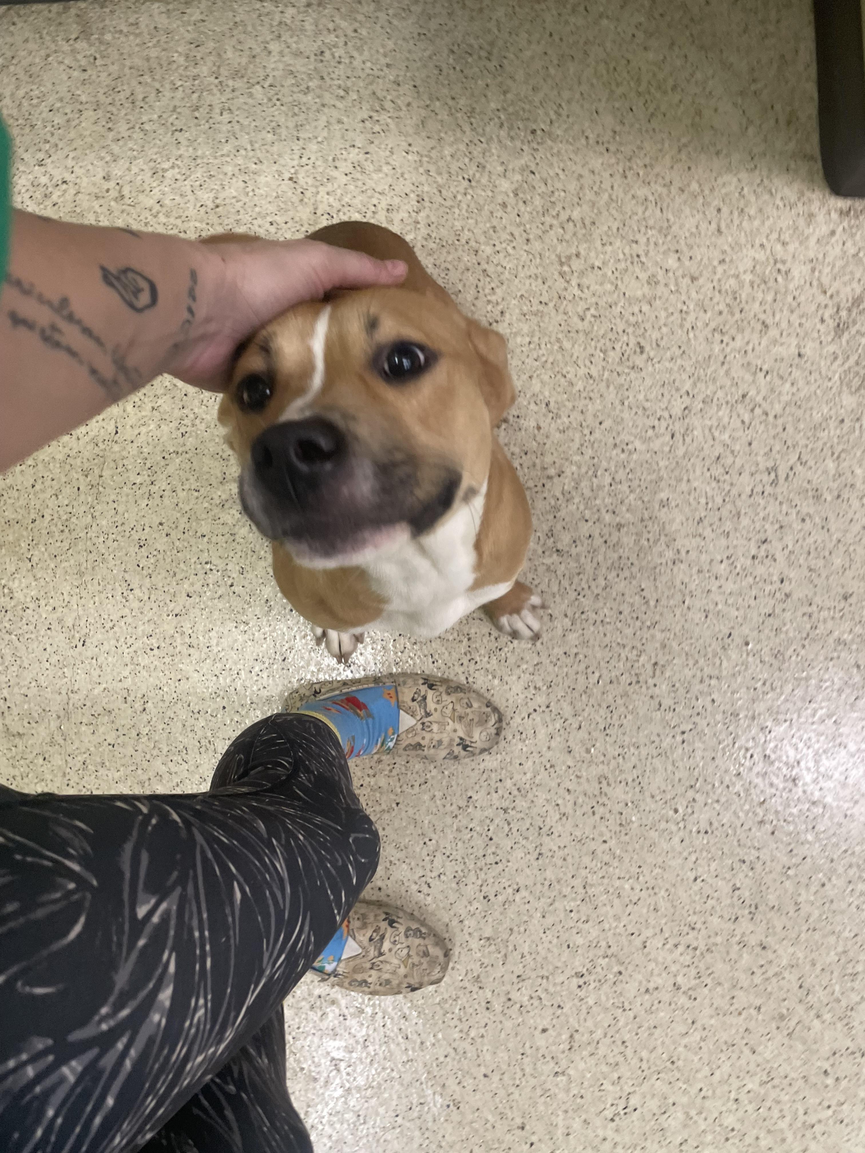 Gretchen — thumbnail 4