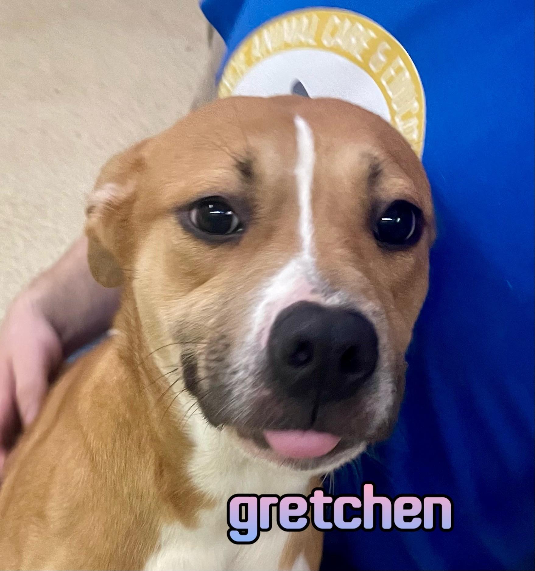 Gretchen — thumbnail 5