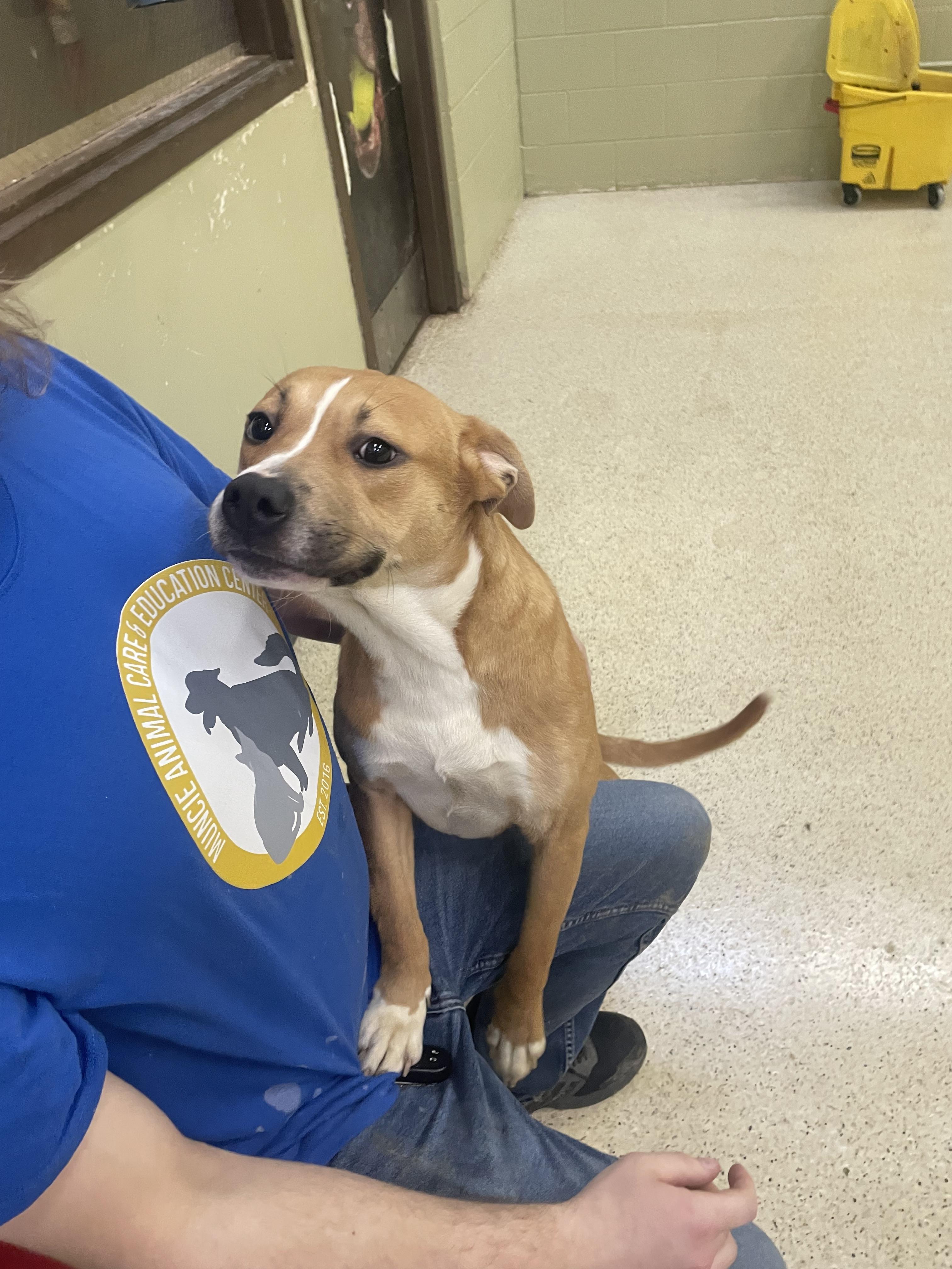 Gretchen — thumbnail 6