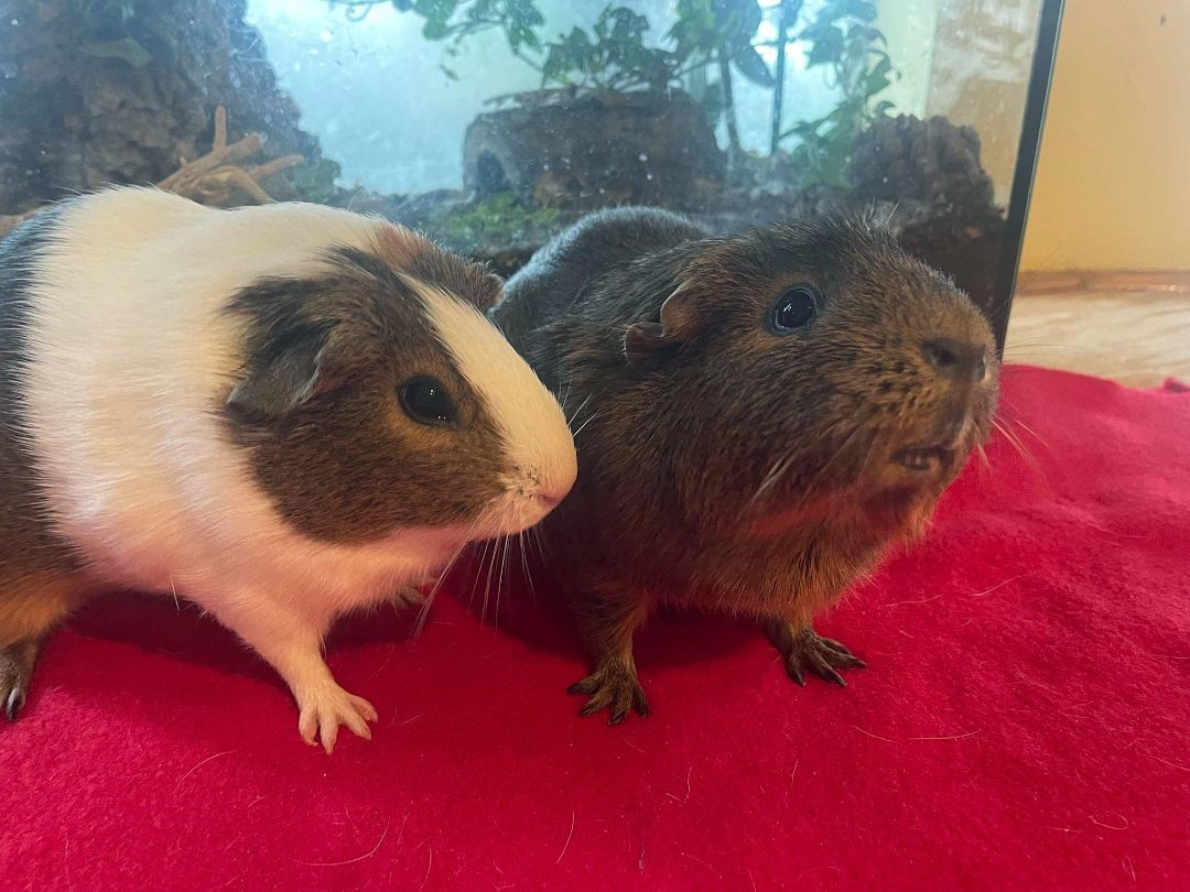 Nora & CeCe photo 2