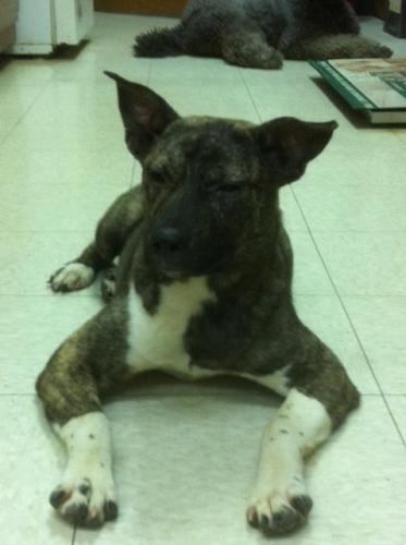 Swiper photo 2