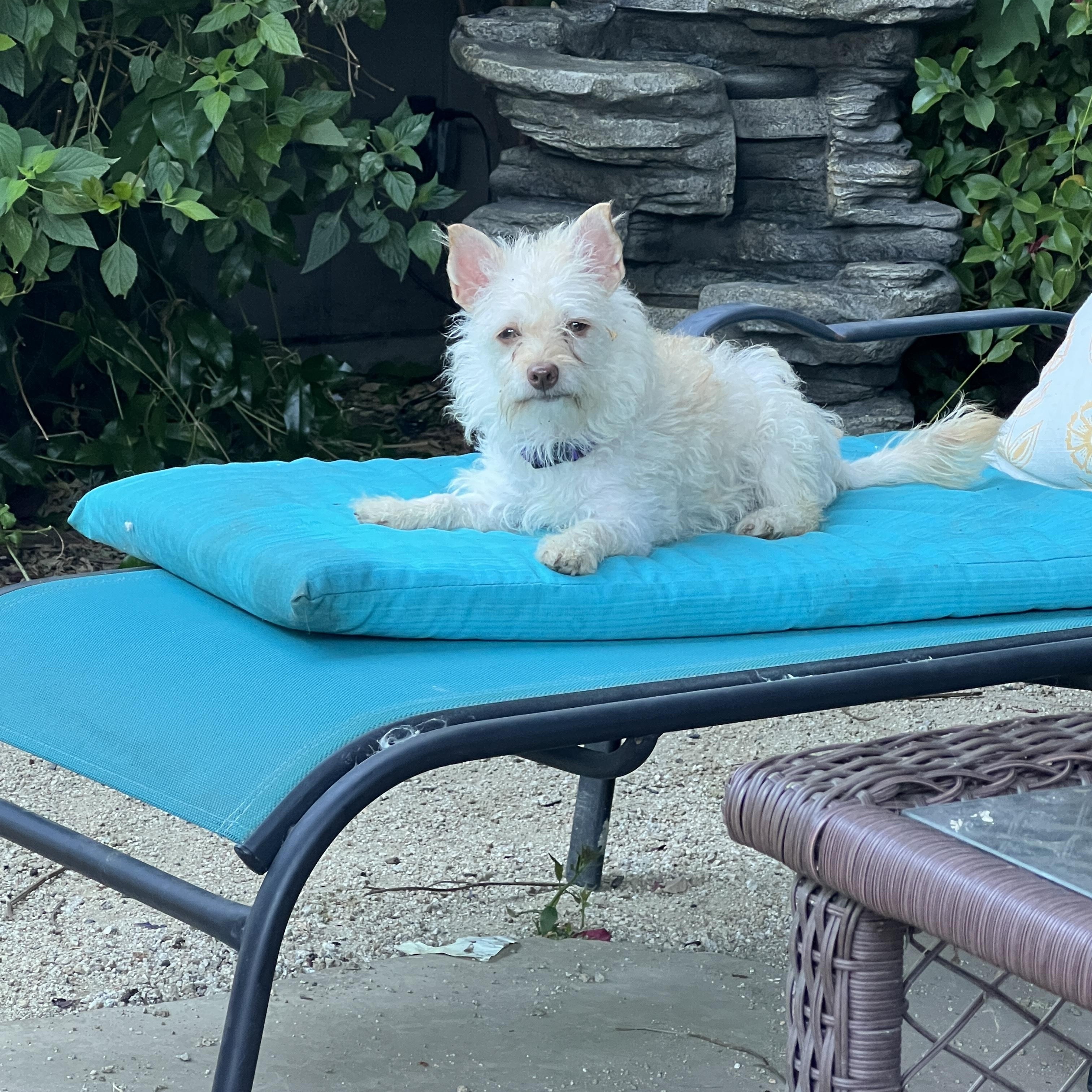 Sadie & Hazel