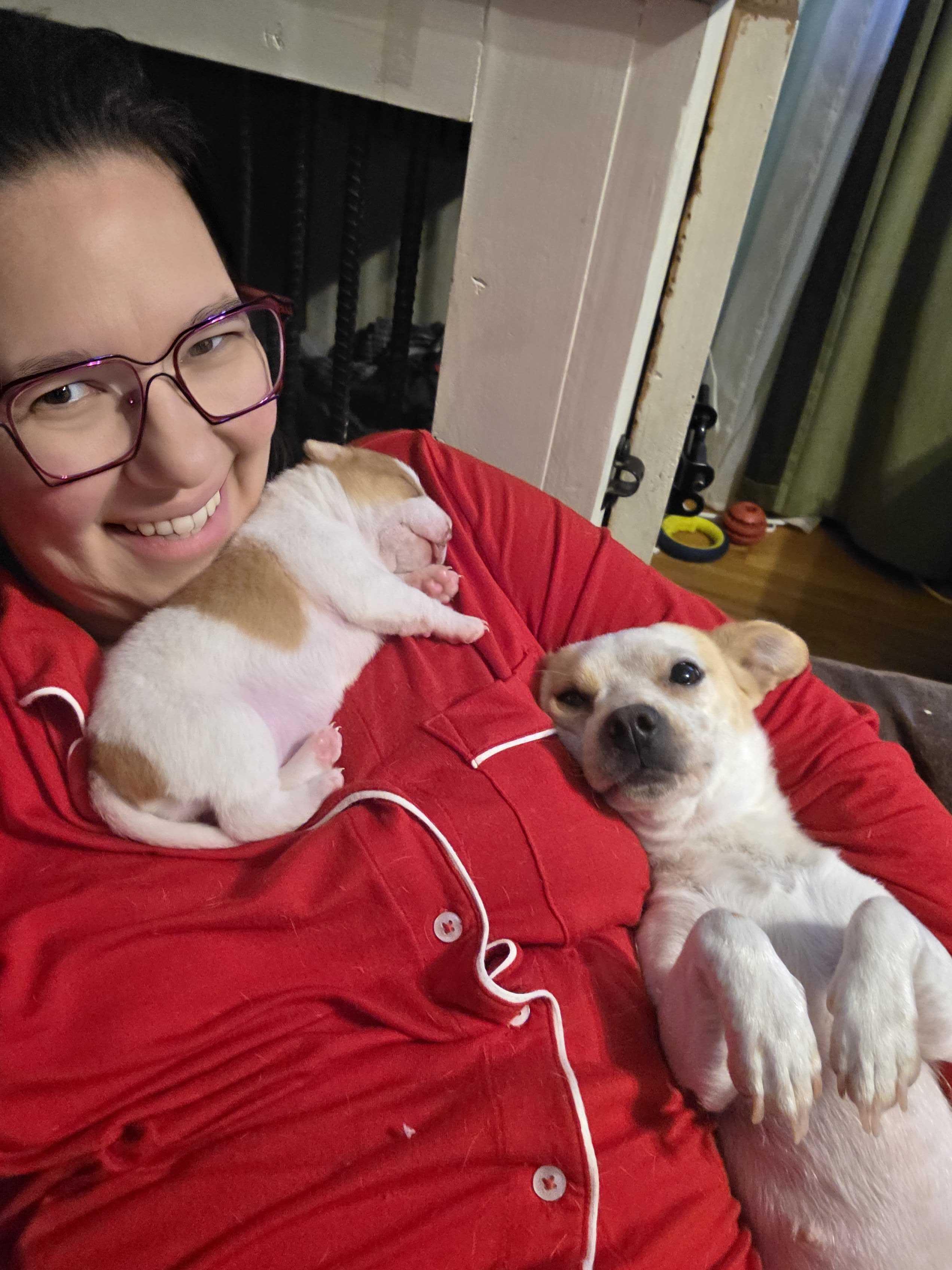 Enlarge Penny, a ADOPTABLE Mixed Breed in Cedar Rapids, IA image 4/6