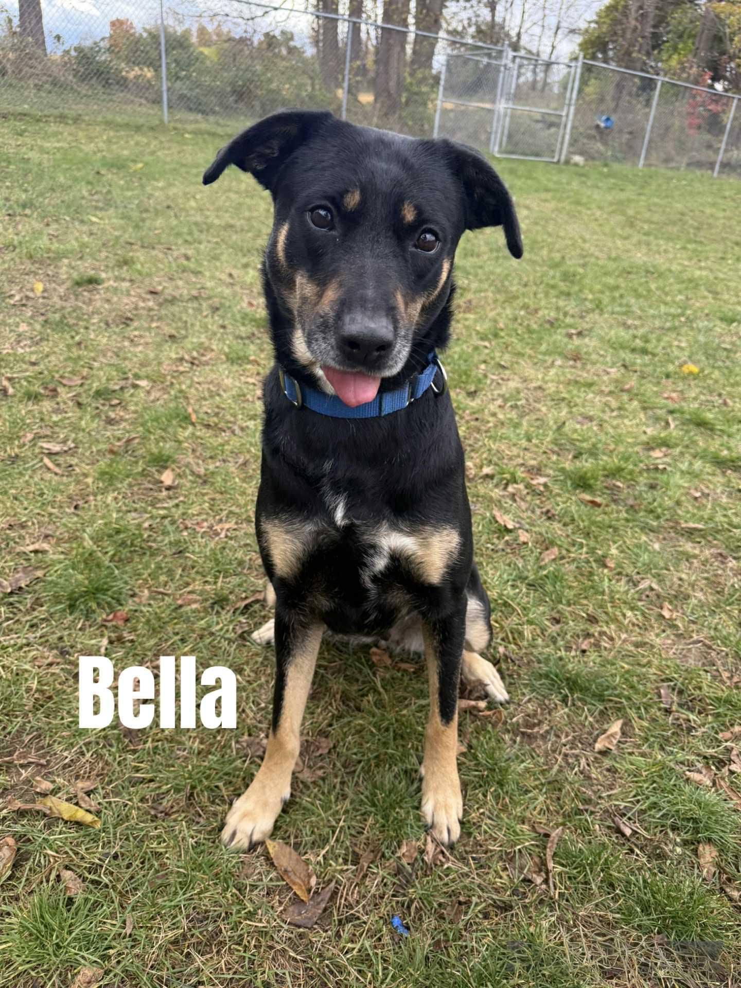 Bella