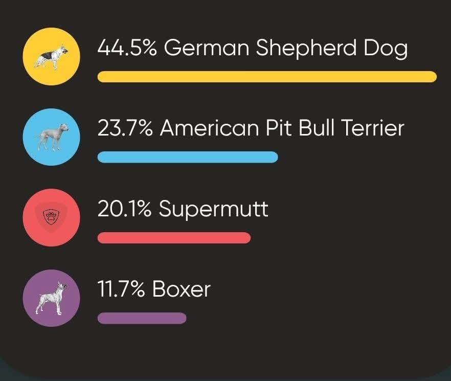Betty, a Adoptable mixed breed in Woodland, CA image 3/5