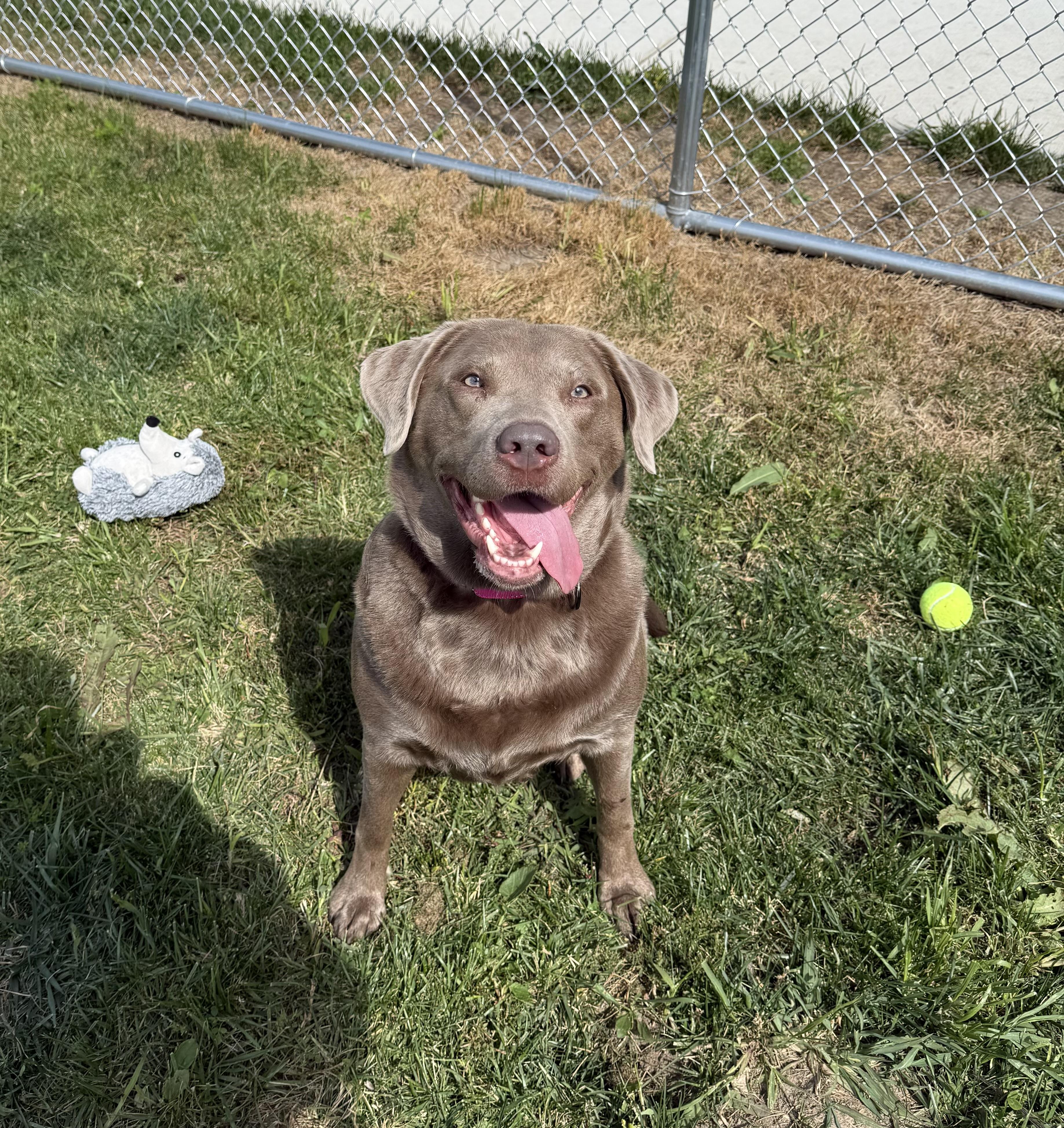 Macy