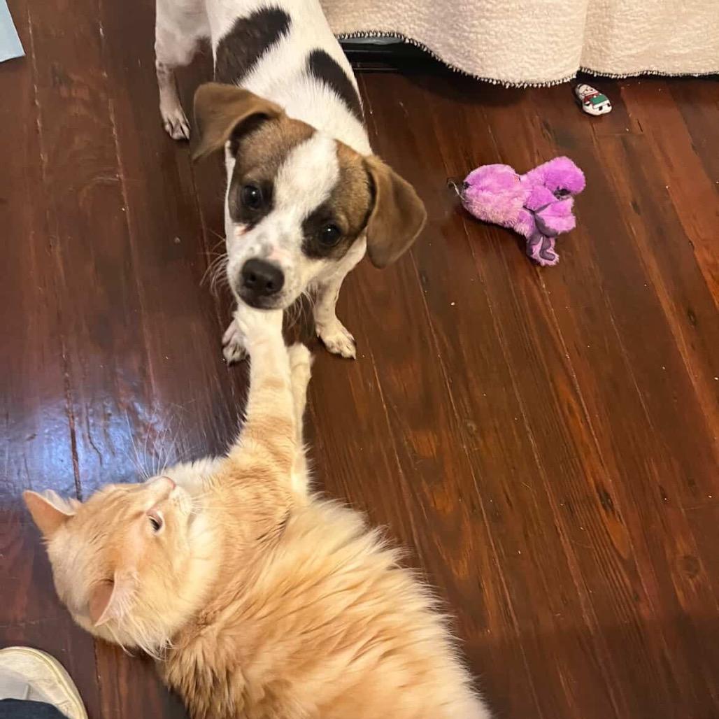 Bing Bong thumbnail 3