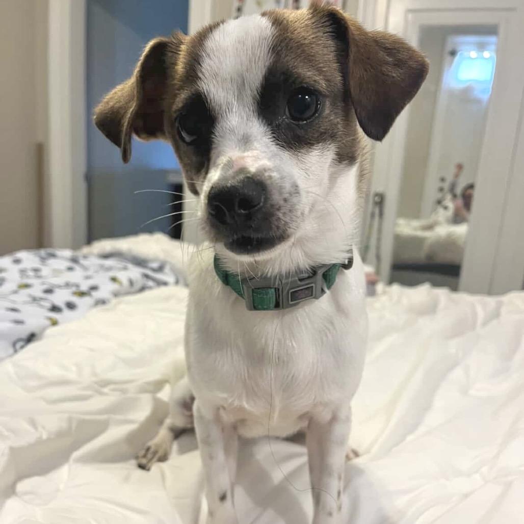 Bing Bong thumbnail 4