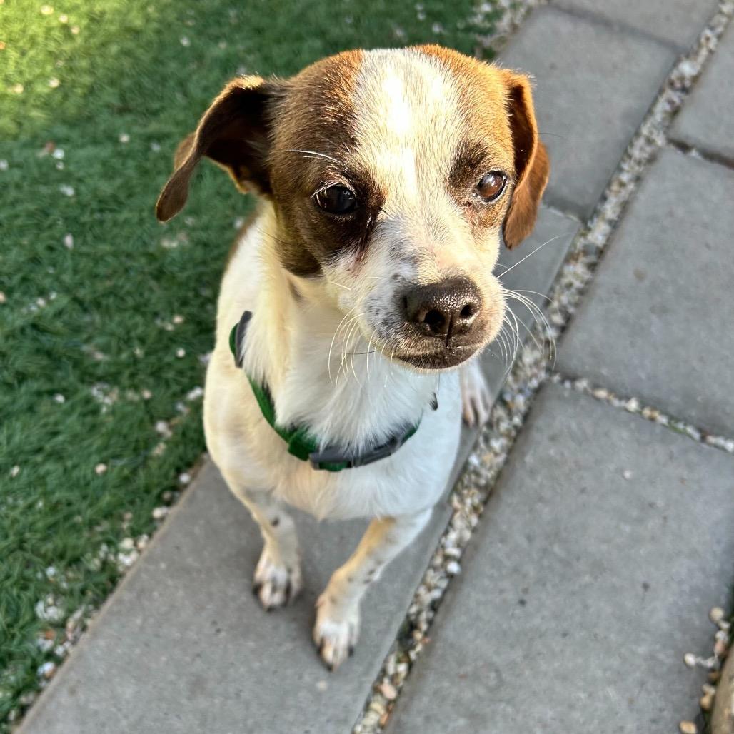 Bing Bong thumbnail 5