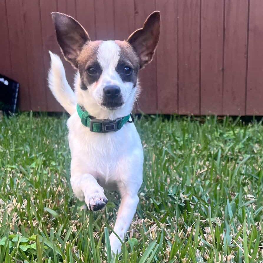 Bing Bong thumbnail 6