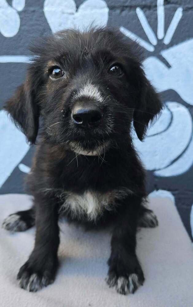 Baker (B Squad) photo