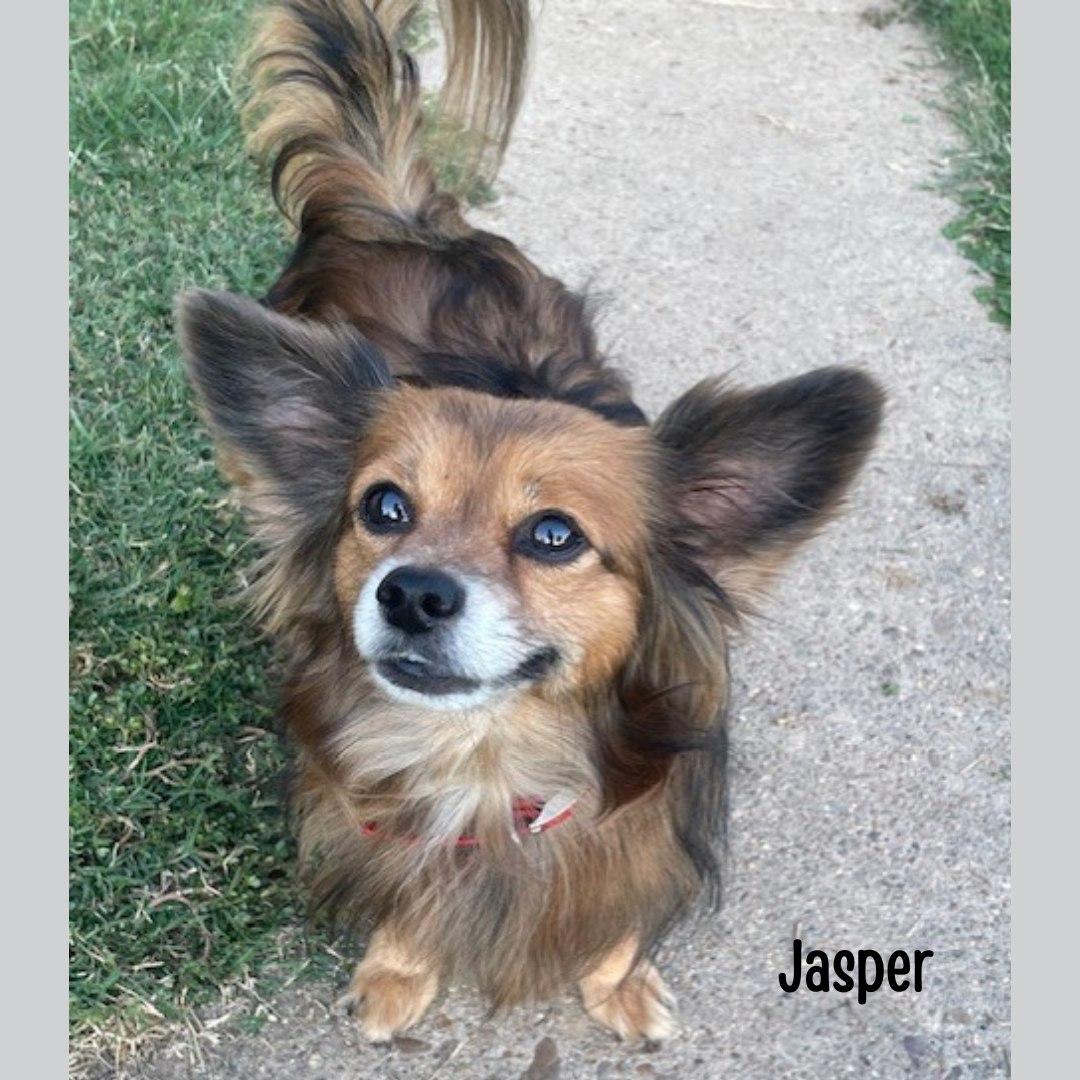 Jasper
