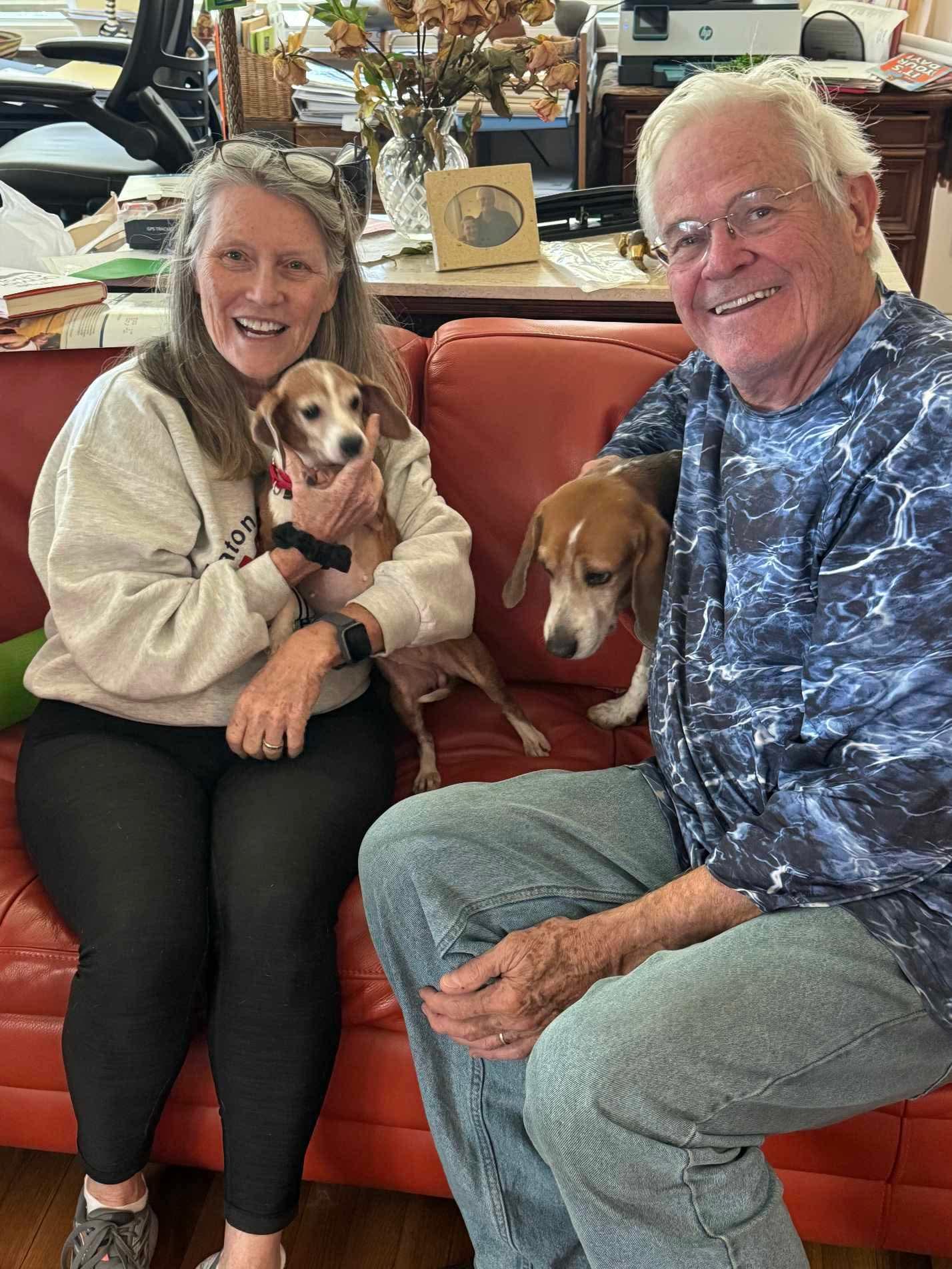 Enlarge Triskit, a Adopted Beagle in Dunnellon, FL image 2/3