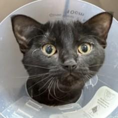 Trina @ Petsmart — thumbnail 2