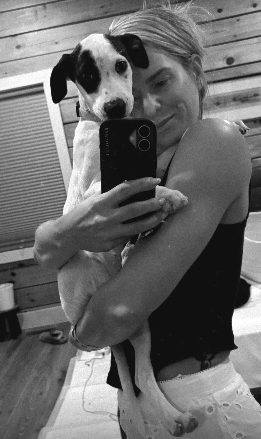 Boba - The Cuddliest Puppy Ever, an adopted mixed breed in STANHOPE, NJ image 3/6
