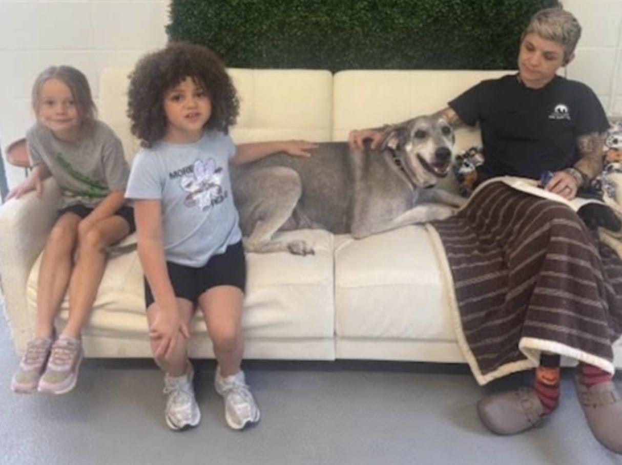 Buddy Floof thumbnail 4