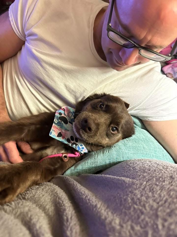 Loca, a Adoptable mixed breed image 3/6