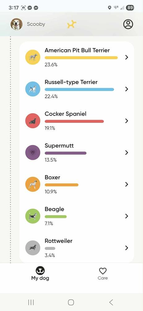 Scooby, a Adoptable mixed breed in Chattanooga, TN image 2/3