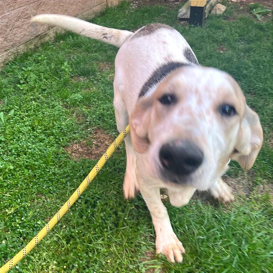 French Toast — thumbnail 4