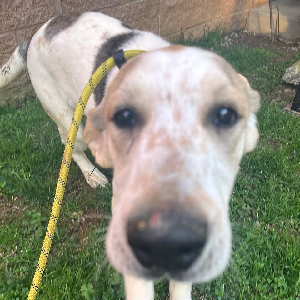 French Toast — thumbnail 5