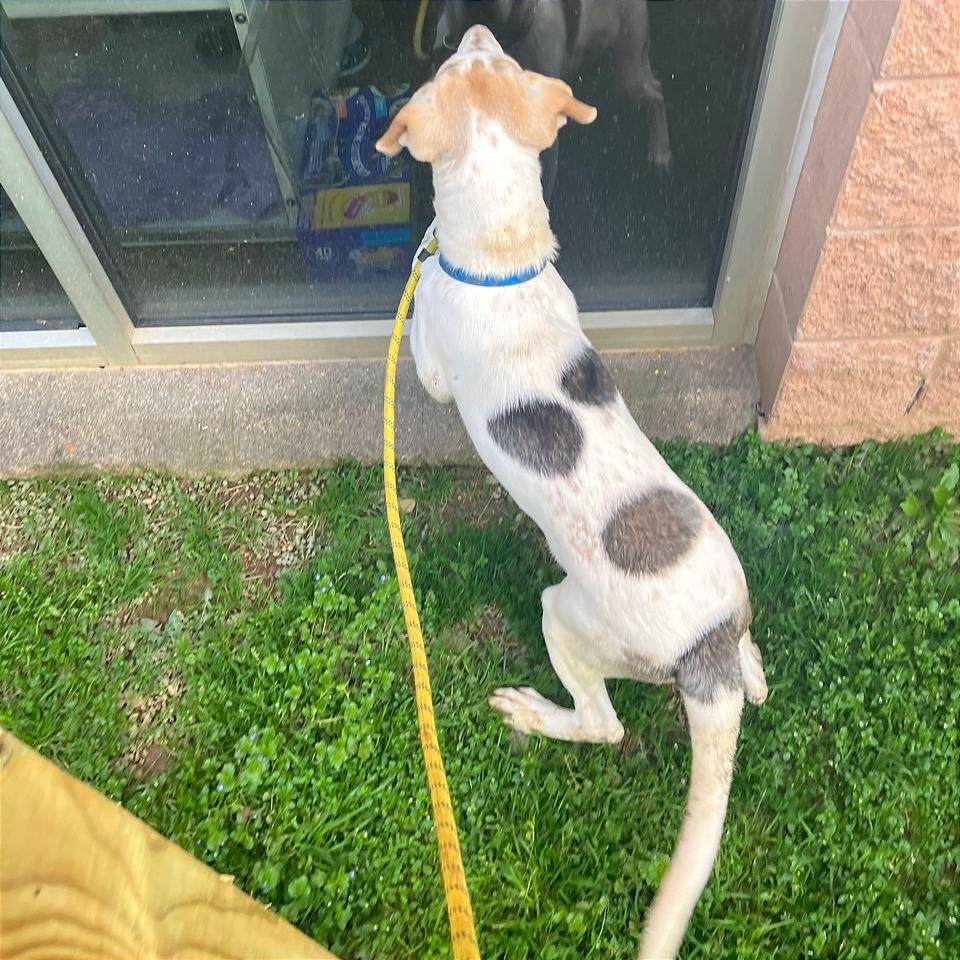 French Toast — thumbnail 6