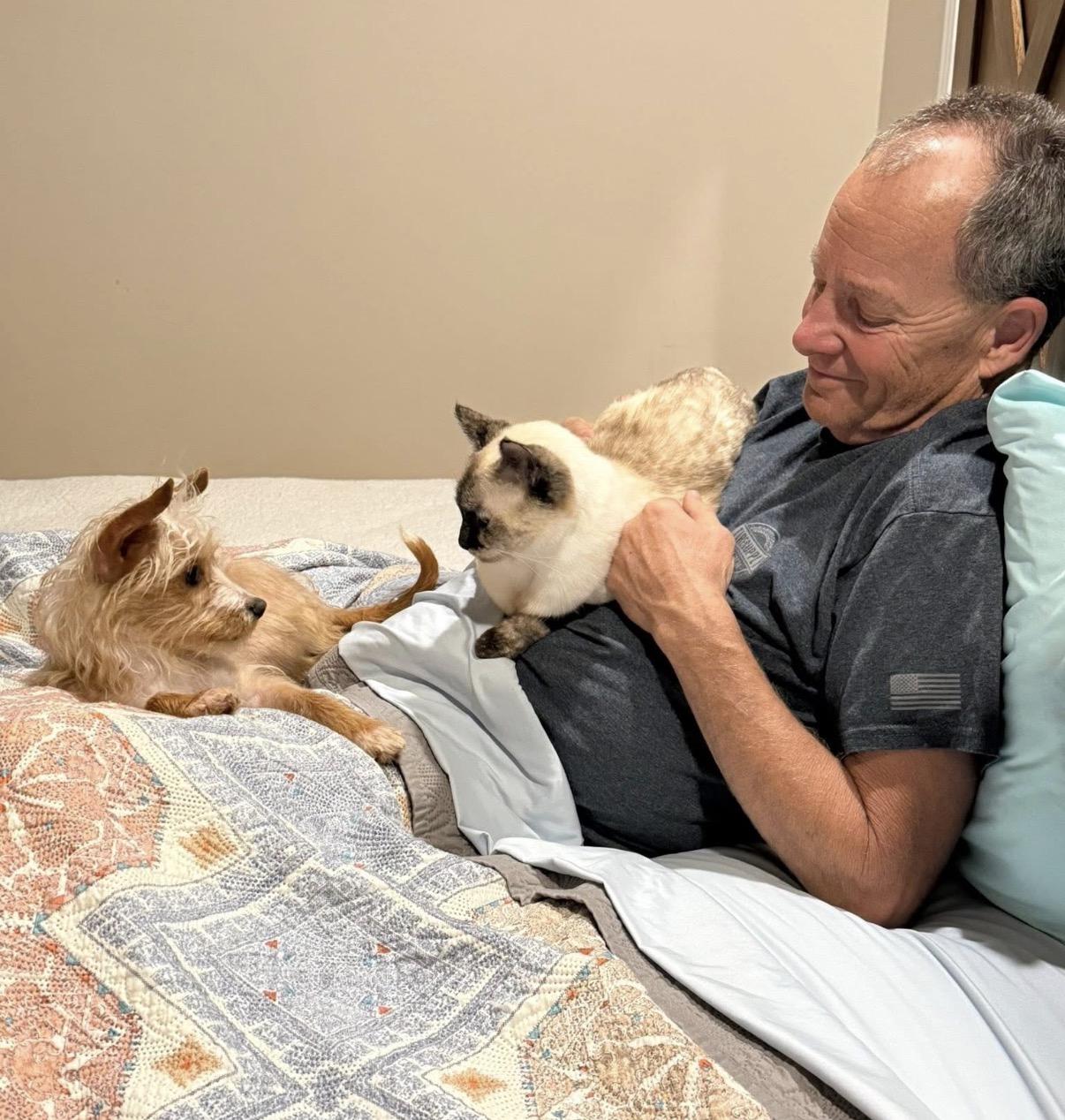 Enlarge Biscuit , an adopted mixed breed in Blanch, NC image 3/3