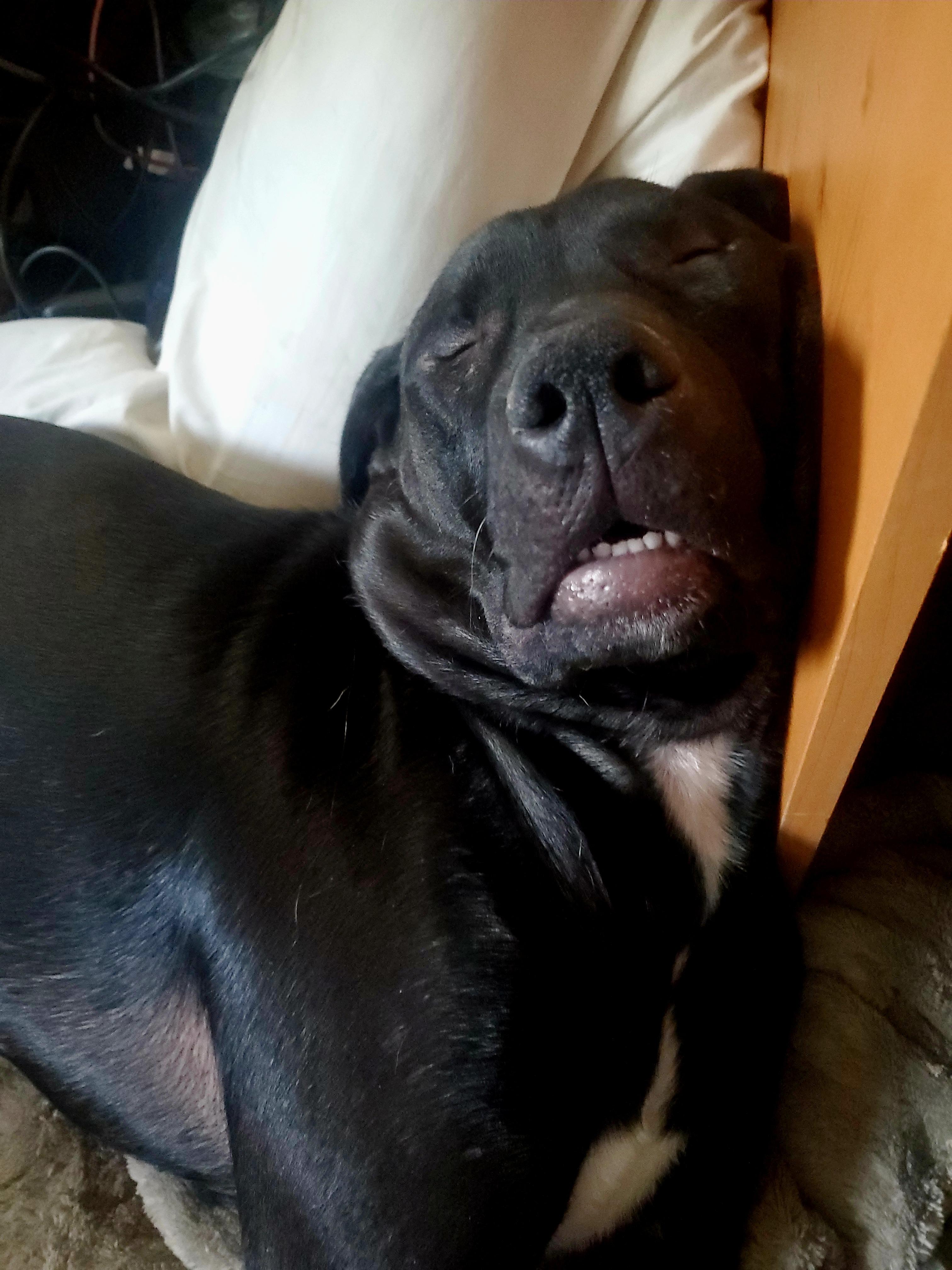 Iroh — thumbnail 5