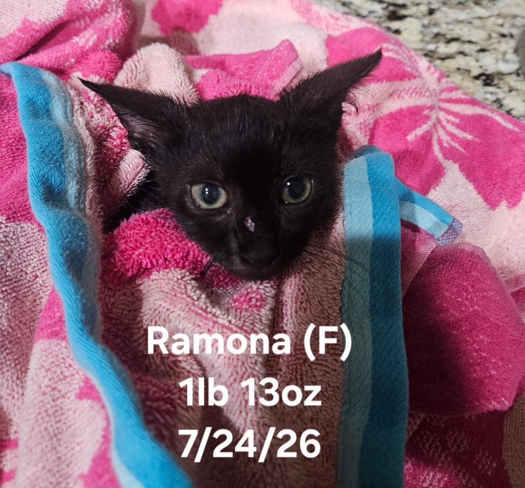 Ramona photo