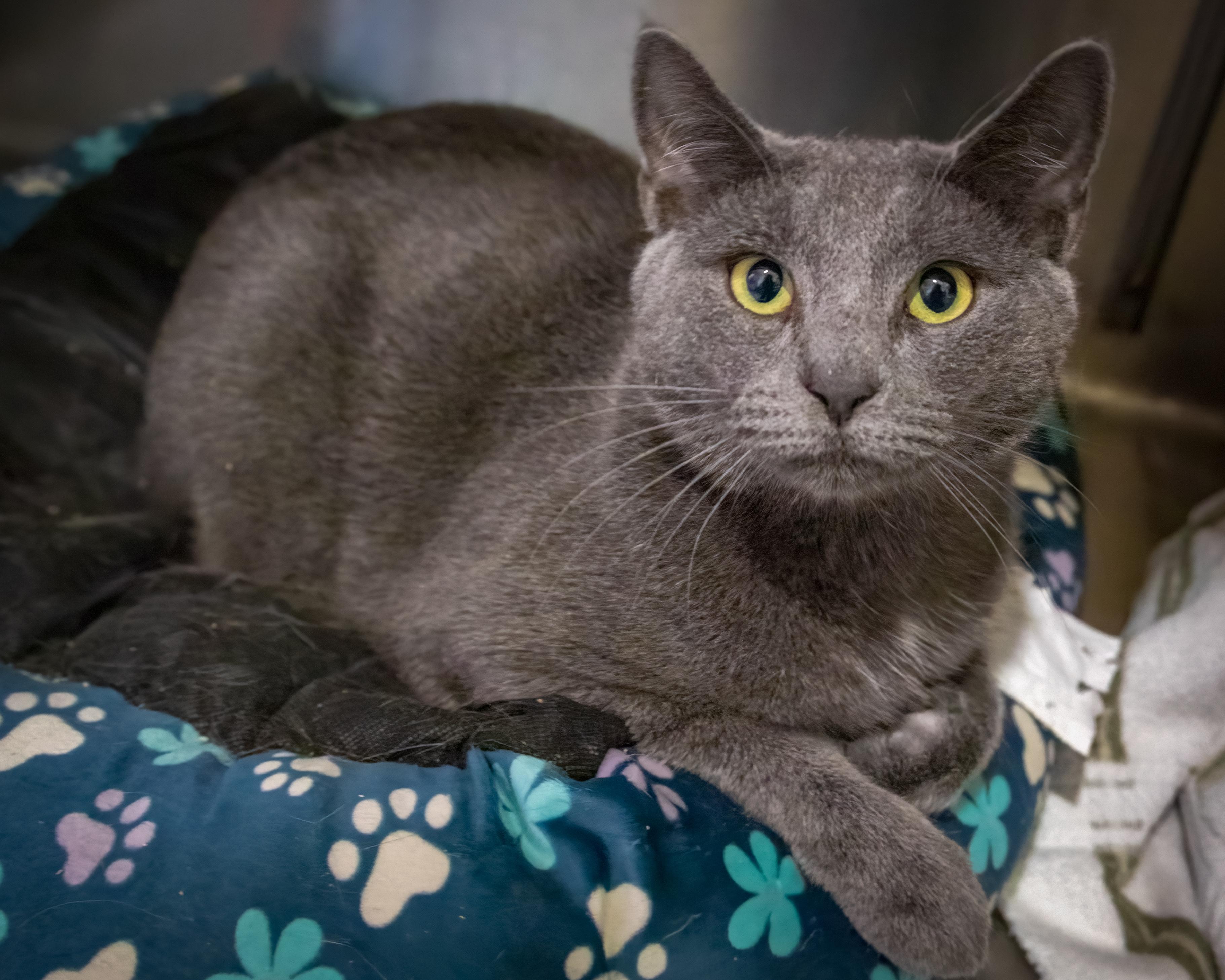 Bonded:Ben & Jerry (FCID 12/11/24-533,530 Trainer)