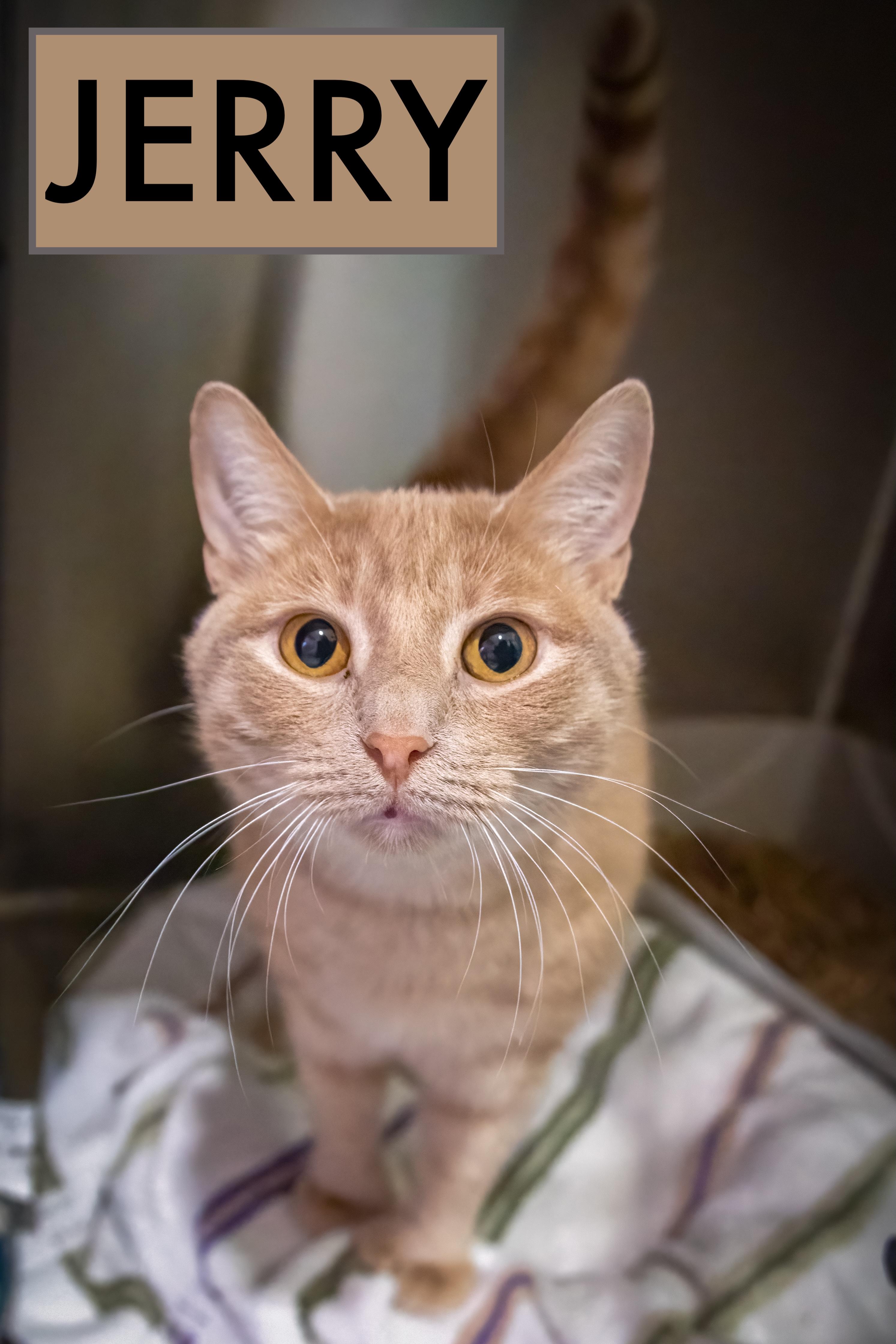 Bonded:Ben & Jerry (FCID 12/11/24-533,530 Trainer)