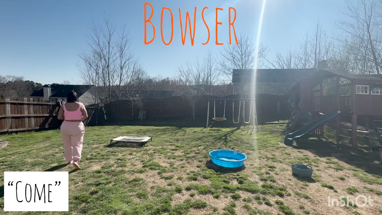 Enlarge Bowser, a Adoptable mixed breed in Auburn, GA video 2/6