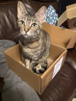 Ember — thumbnail 3