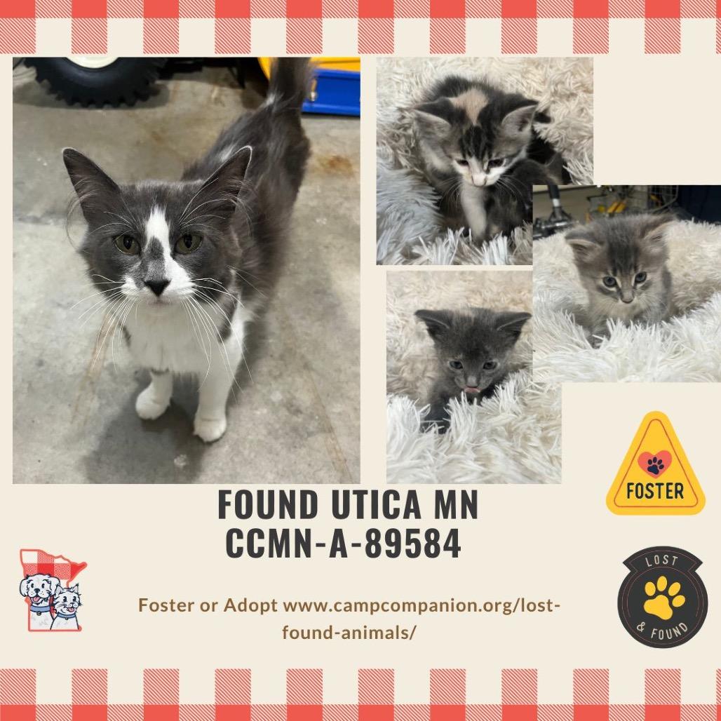 Gemma — thumbnail 2