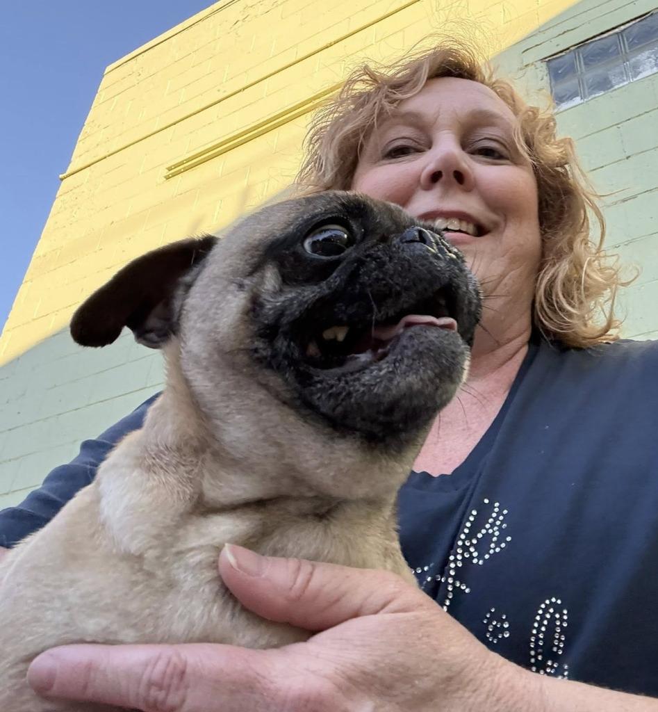 Enlarge Flower, a Adopted Pug in Warren, MI image 1/3
