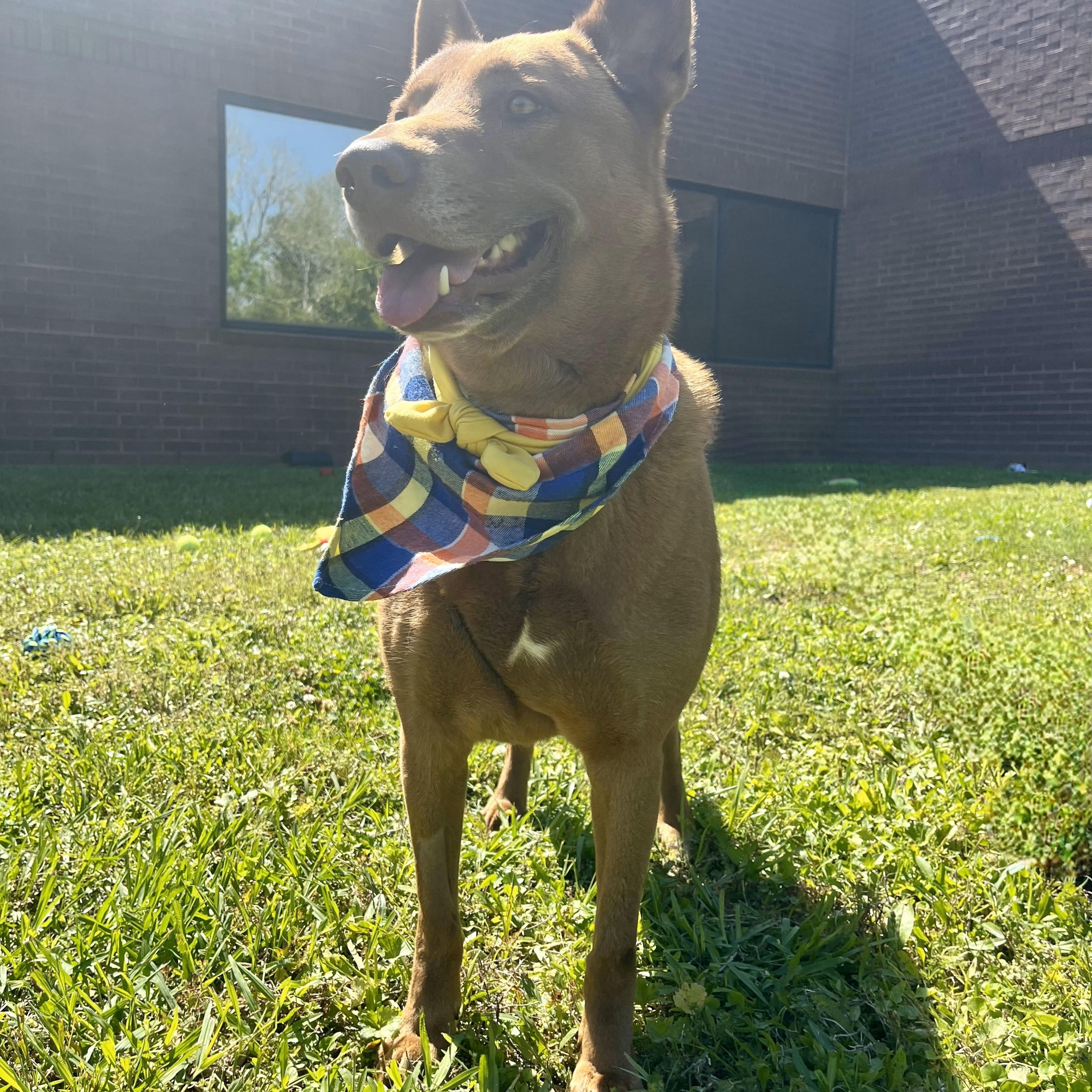 Fernando — thumbnail 3