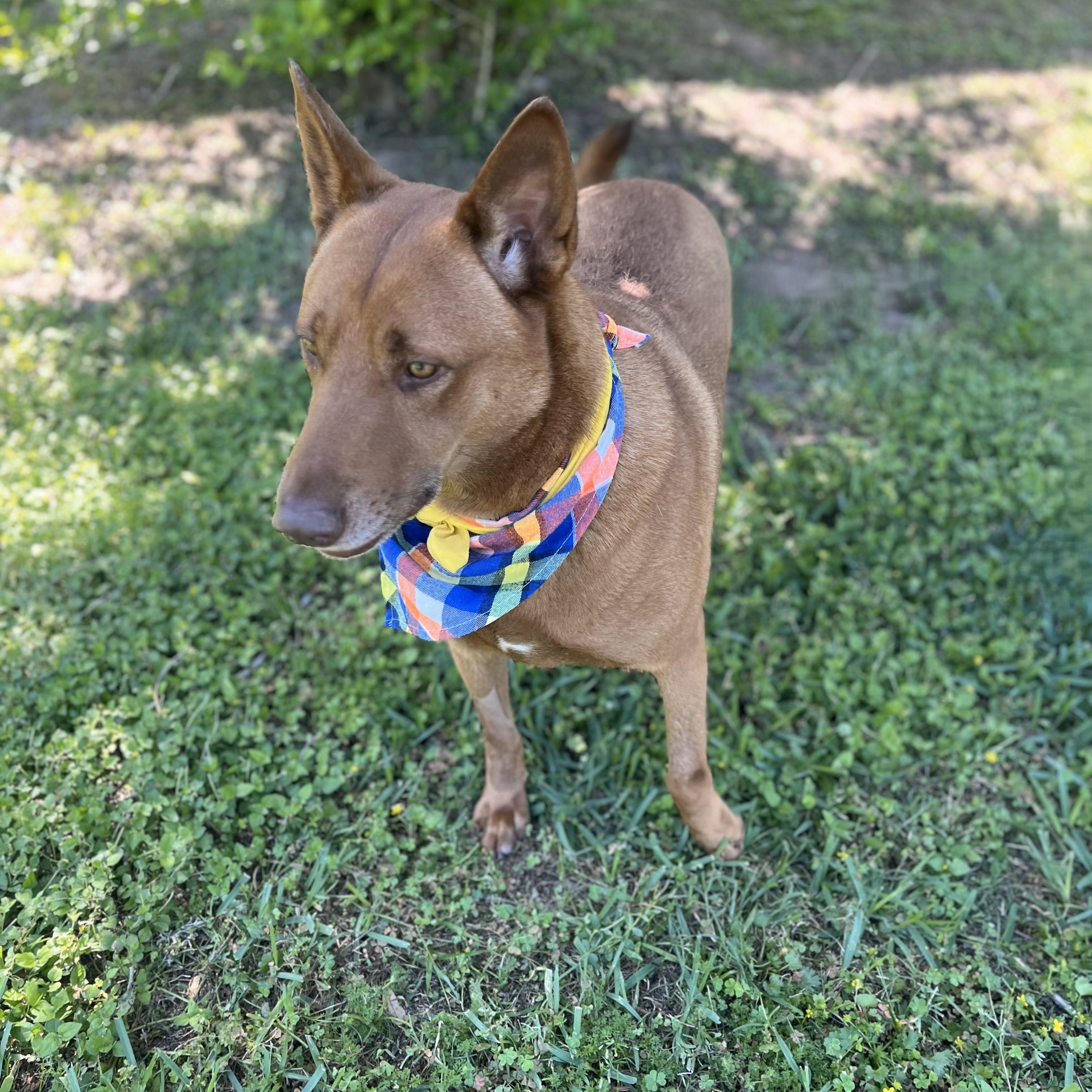 Fernando — thumbnail 5