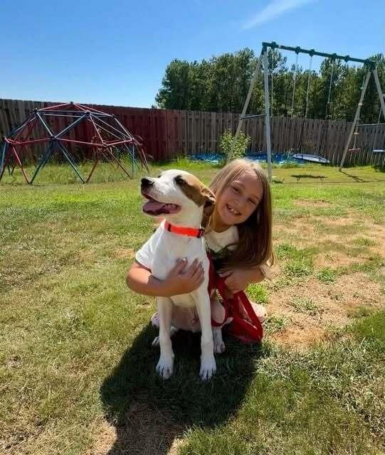 Dunkaroo, Adoptable, Puppy Male Mixed Breed.
