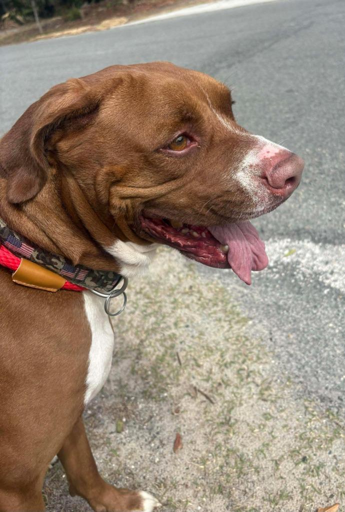 Diesel (fka Magnum) — thumbnail 3