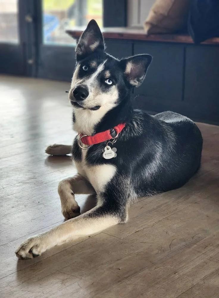 Zoey