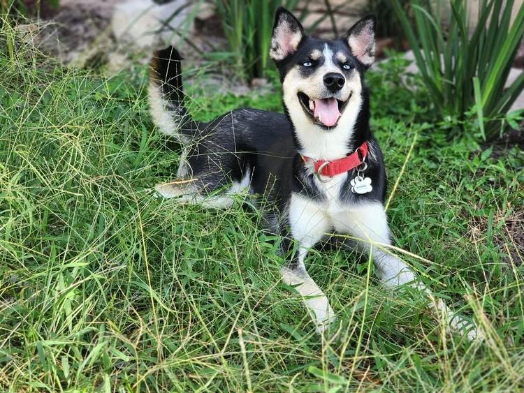 Zoey