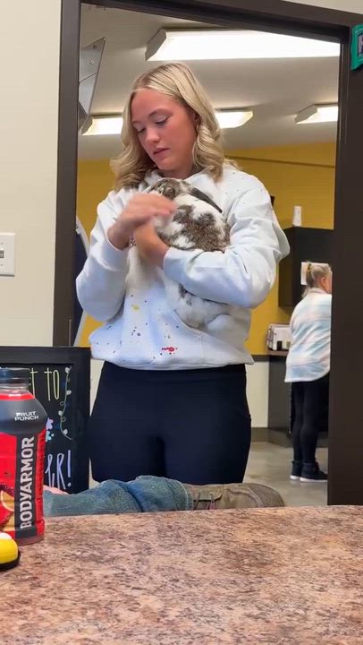 Enlarge Boo  is simply the sweetest bun around!  Only 5 lbs!  VIDEO!, a ADOPTABLE mixed breed in Bedford Hills, NY video 3/3