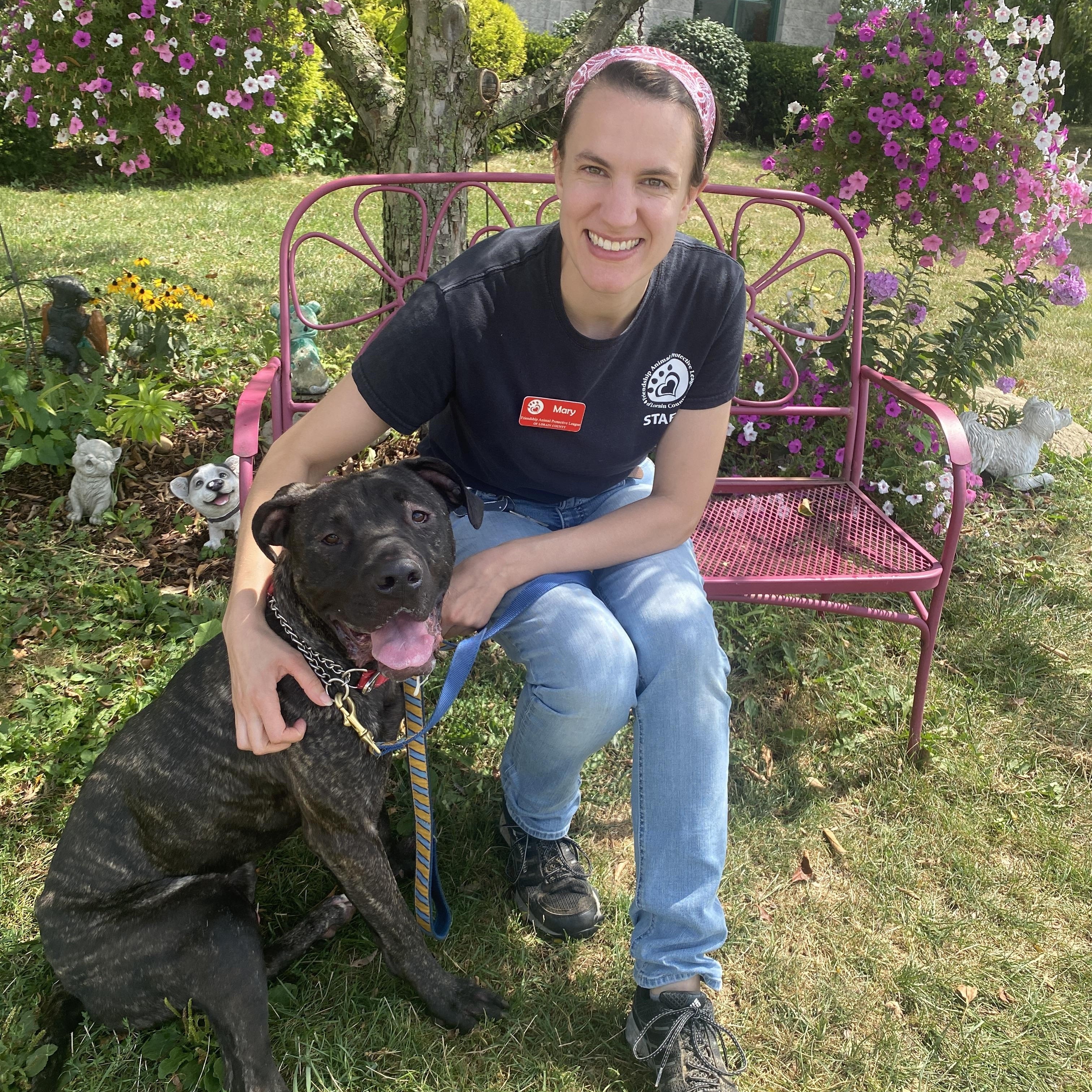 Brutus , an adoptable mixed breed in Elyria, OH image 2/6