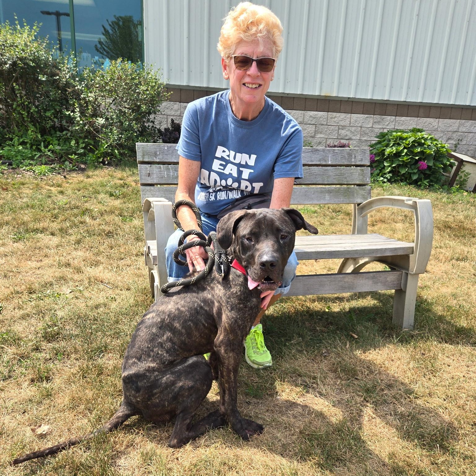 Brutus , an adoptable mixed breed in Elyria, OH image 5/6