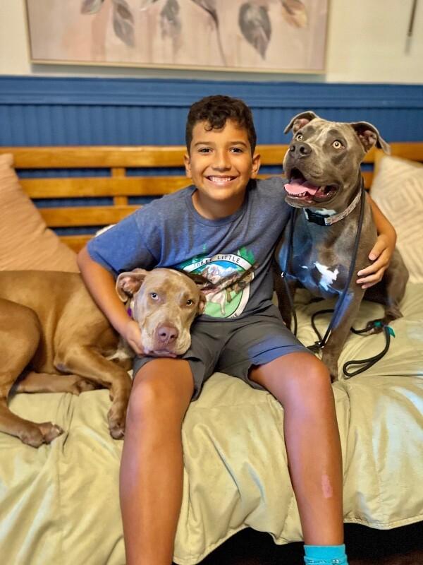Enlarge Mona Lovey the Baby Faced Angel, a Adoptable mixed breed in Brattleboro, VT image 3/6