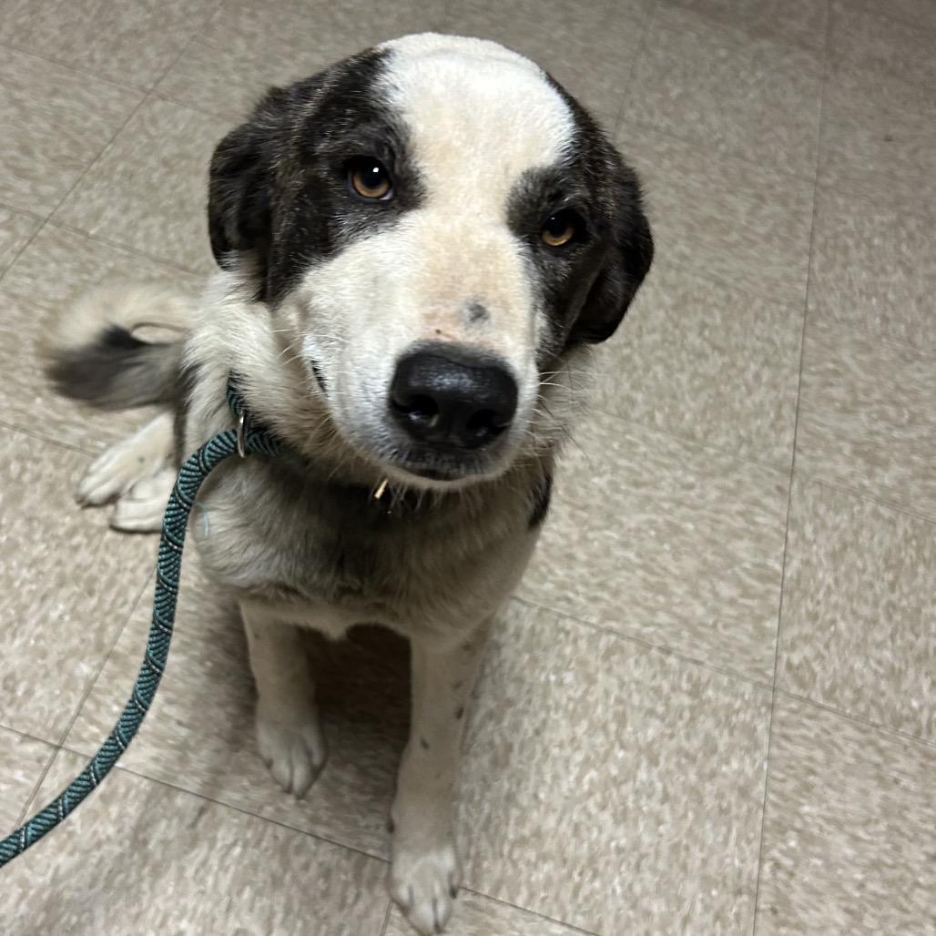 Herra — thumbnail 2