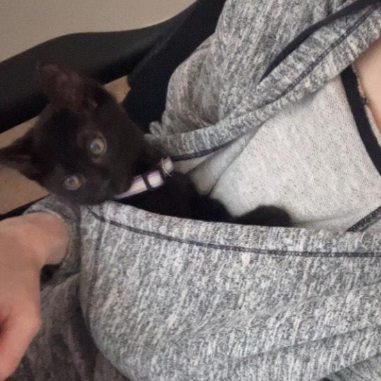 Crackle, affectionate shadow